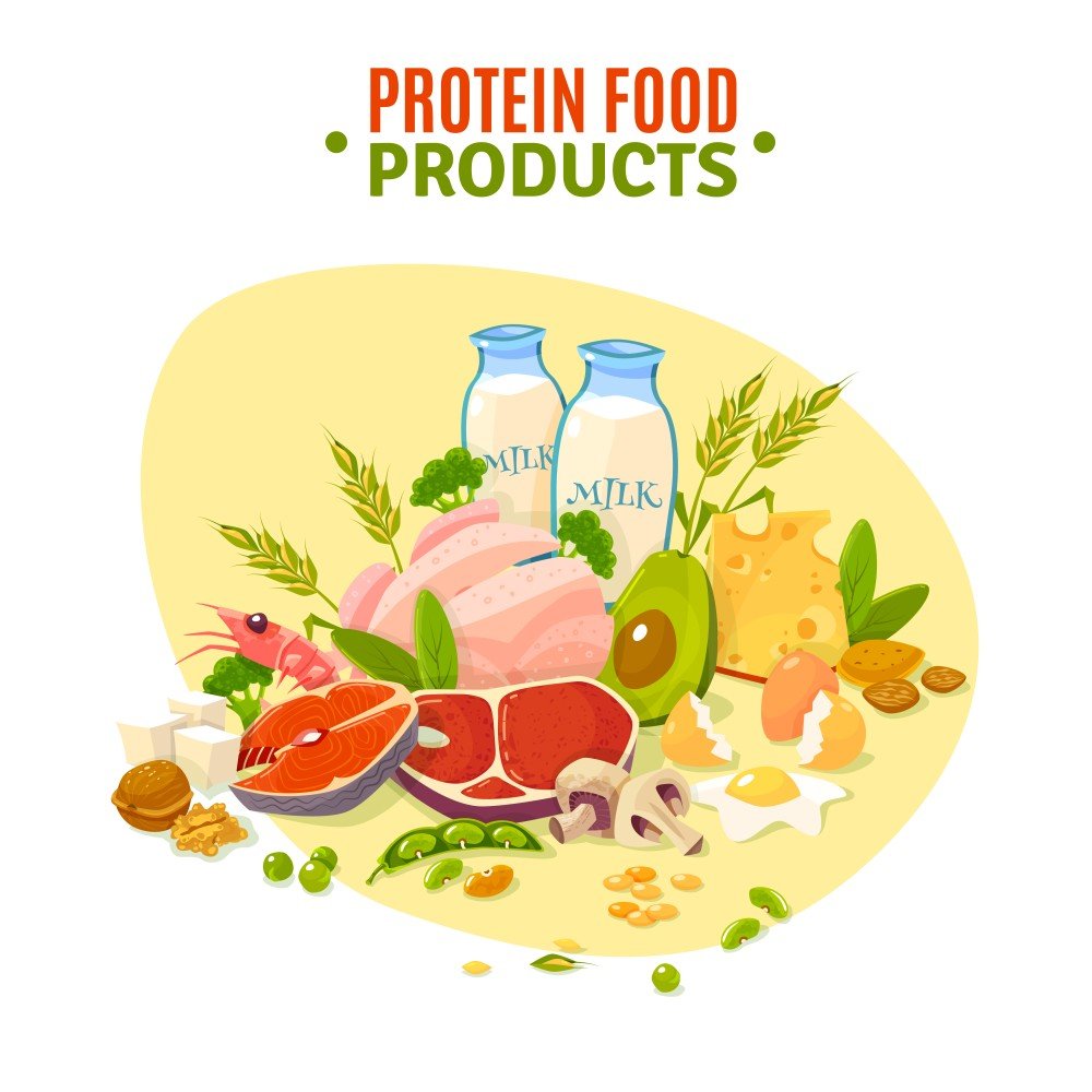 Everything you need to know about Plant and Animal Protein - Genetic Nutrition