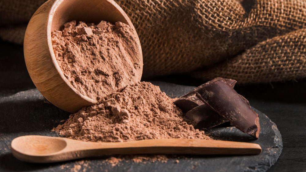 Top Protein Powder Brands in India: 2024 Edition - Genetic Nutrition